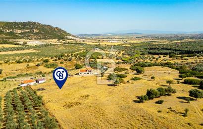 Foça Kocamehmetlerde Satılık 781 m2 Tarla