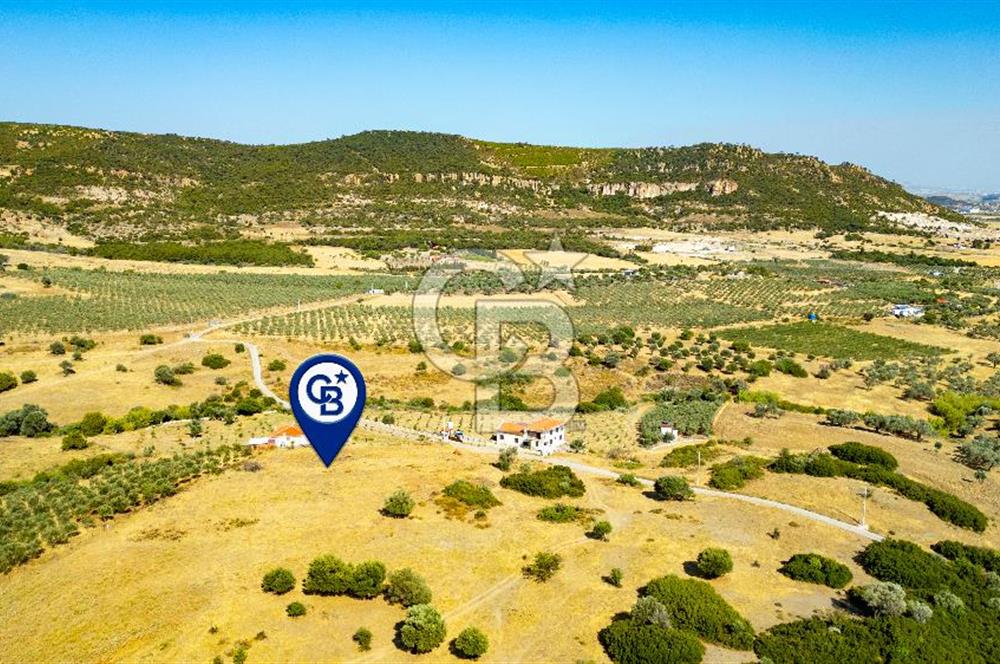Foça Kocamehmetlerde Satılık 781 m2 Tarla
