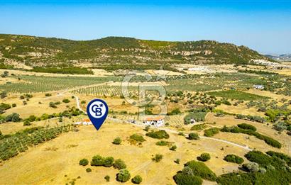 Foça Kocamehmetlerde Satılık 781 m2 Tarla