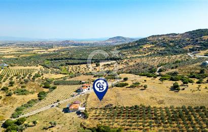 Foça Kocamehmetler'de Satılık 781 m2 Tarla