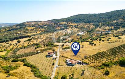 Foça Kocamehmetler'de Satılık 781 m2 Tarla