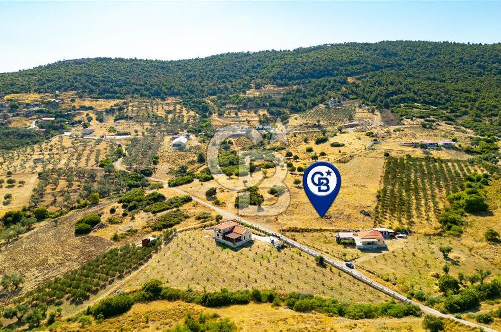 Foça Kocamehmetler'de Satılık 781 m2 Tarla