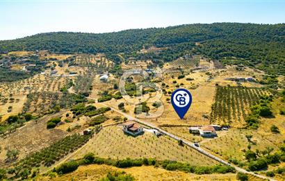 Foça Kocamehmetler'de Satılık 781 m2 Tarla
