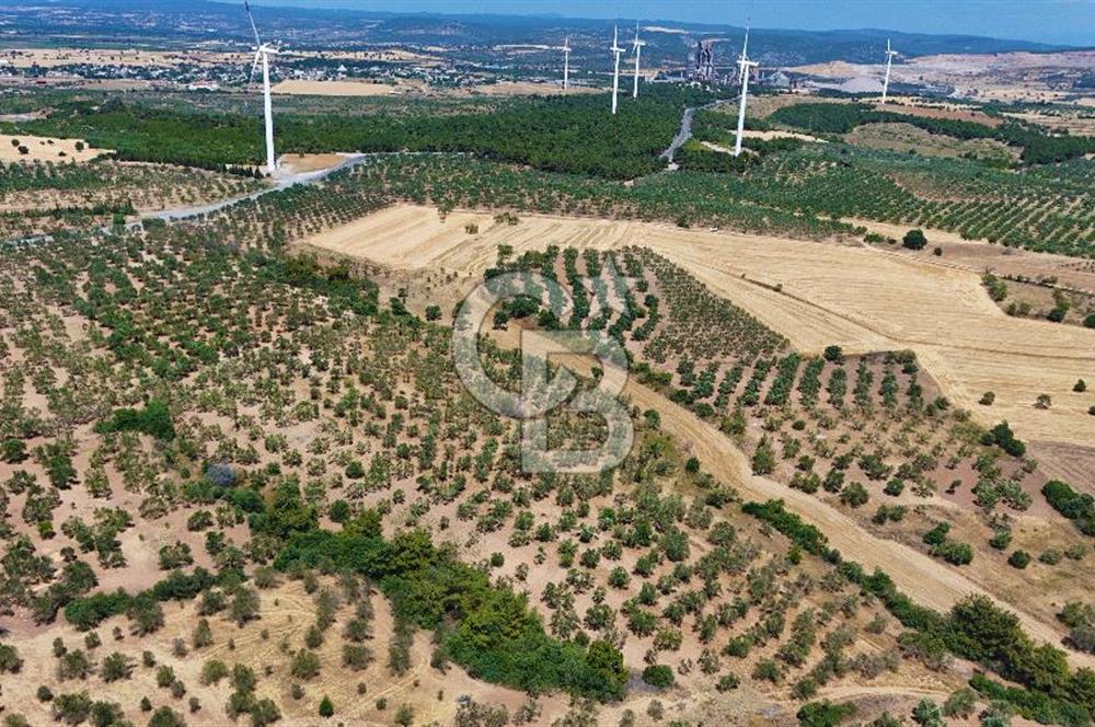 Çanakkale Ezine Üvecik Köyünde 8.694 M2 Tarla !