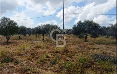 İzmirin Yükselen Değeri Dağkızılcada Kaçırılmayacak Fırsat!