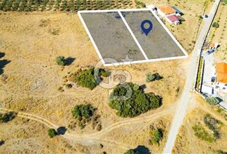 Foça Kocamehmetlerde Satılık 781 m2 Tarla