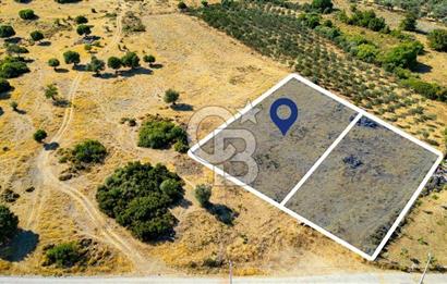 Foça Kocamehmetler'de Satılık 781 m2 Tarla