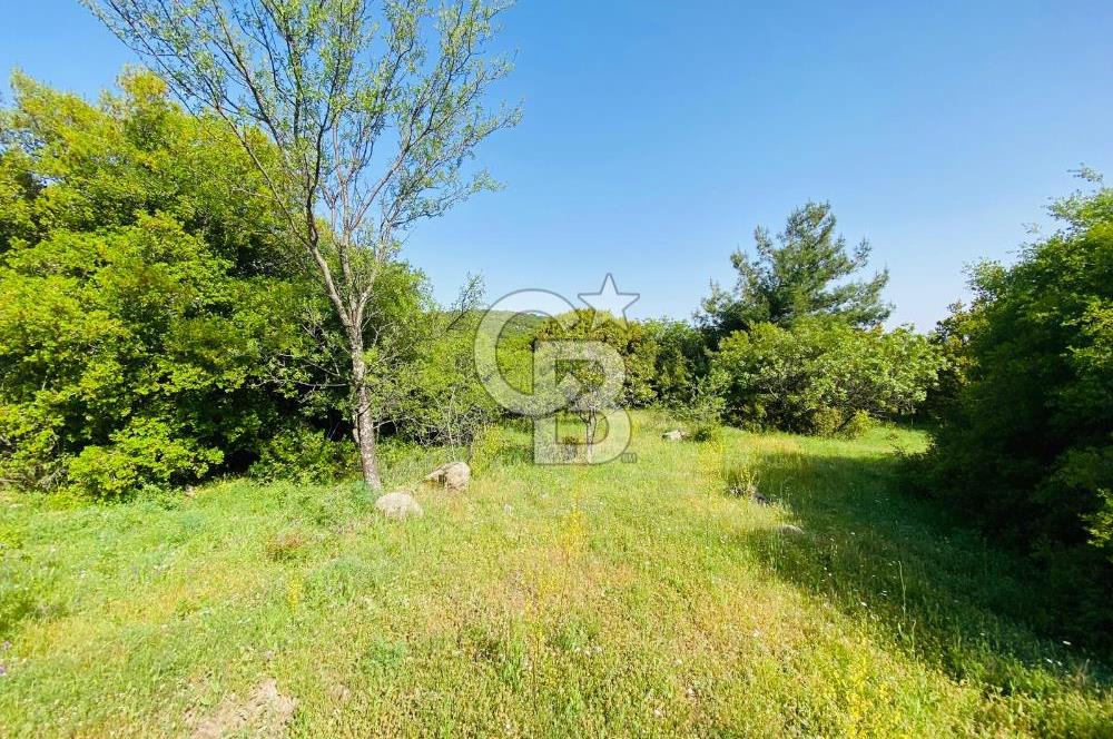 Bornova Kayadibi'nde 1997 m2 Tarla