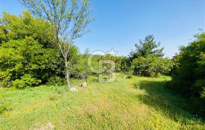 Bornova Kayadibi'nde 1997 m2 Tarla