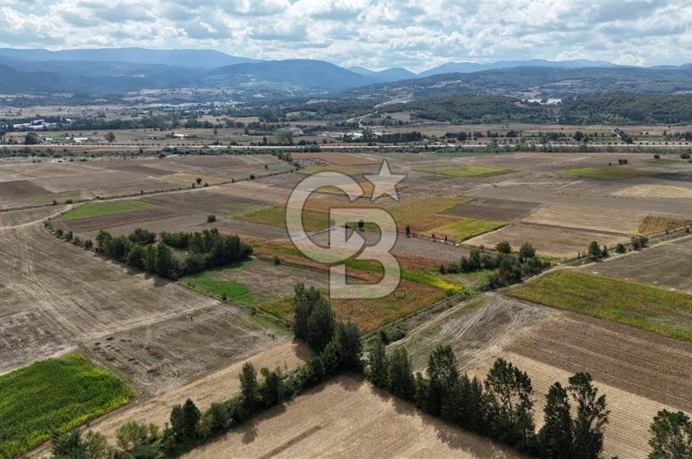 BOLU KASAPLAR'DA OTOBAN'A YAKIN TARLA