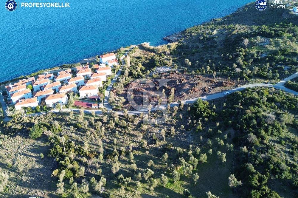 Karaburun Anbarseki'de 4754 m² Deniz Manzaralı Arsa