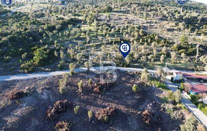 Karaburun Anbarseki'de 4754 m² Deniz Manzaralı Arsa