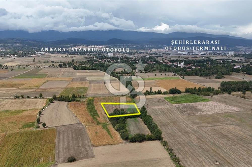 BOLU KASAPLAR'DA OTOBAN'A YAKIN TARLA