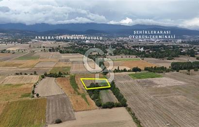BOLU KASAPLAR'DA OTOBAN'A YAKIN TARLA