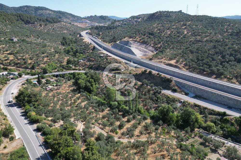 ÇANAKKALE KÜÇÜKKUYUDA SATILIK ZEYTİNLİK