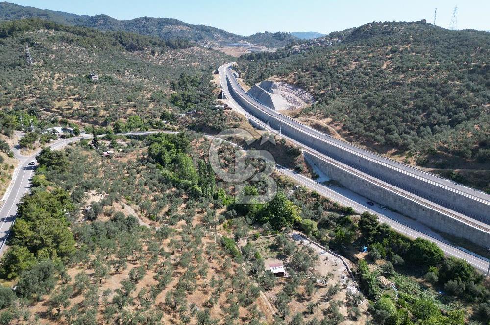 ÇANAKKALE KÜÇÜKKUYUDA SATILIK ZEYTİNLİK