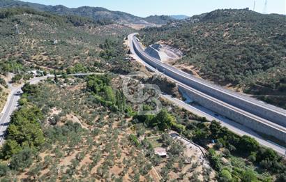 ÇANAKKALE KÜÇÜKKUYUDA SATILIK ZEYTİNLİK