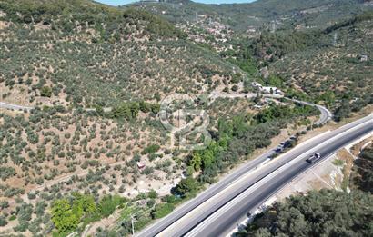 ÇANAKKALE KÜÇÜKKUYUDA SATILIK ZEYTİNLİK