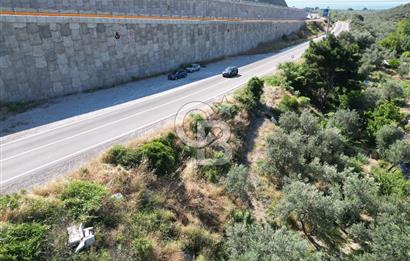 ÇANAKKALE KÜÇÜKKUYUDA SATILIK ZEYTİNLİK