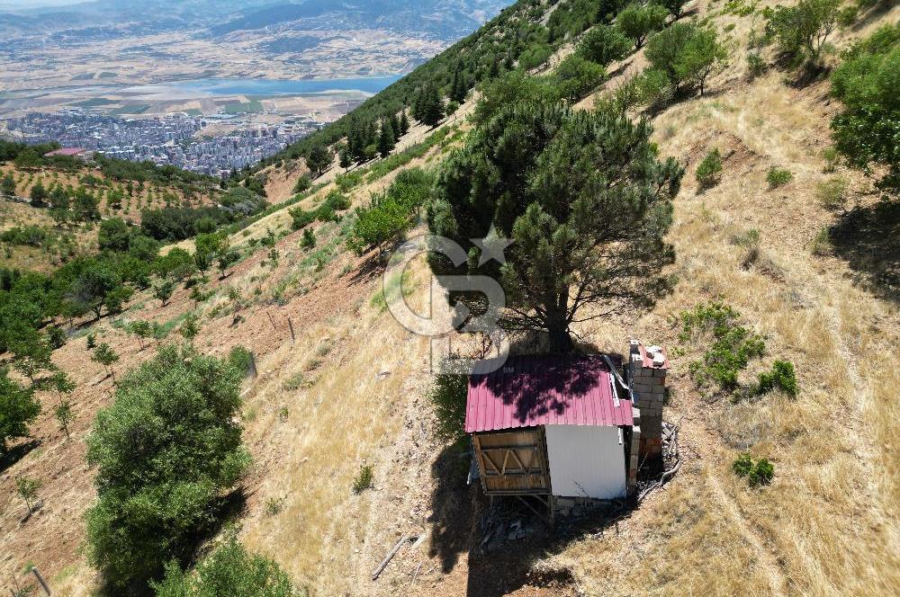 COLDWELL BANKER'DAN TÖMEKTE SATILIK BAHÇE