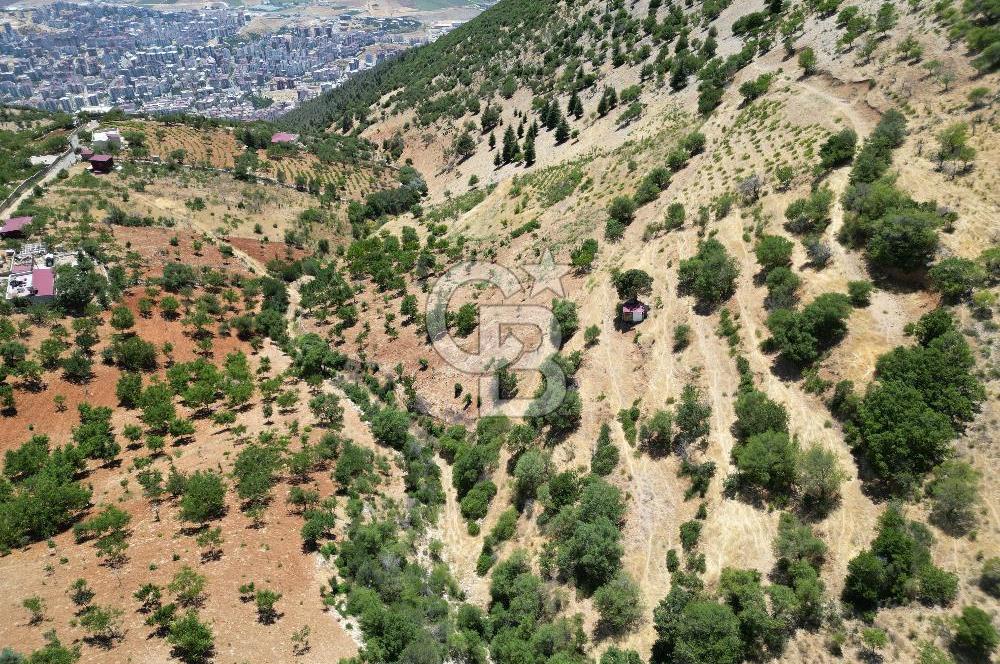 COLDWELL BANKER'DAN TÖMEKTE SATILIK BAHÇE