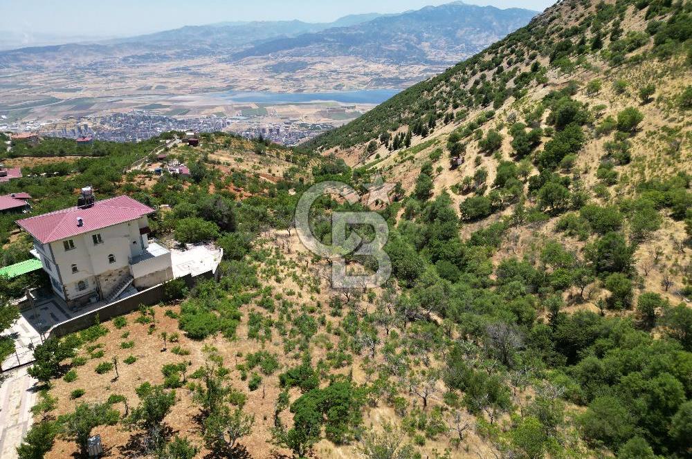 COLDWELL BANKER'DAN TÖMEKTE SATILIK BAHÇE