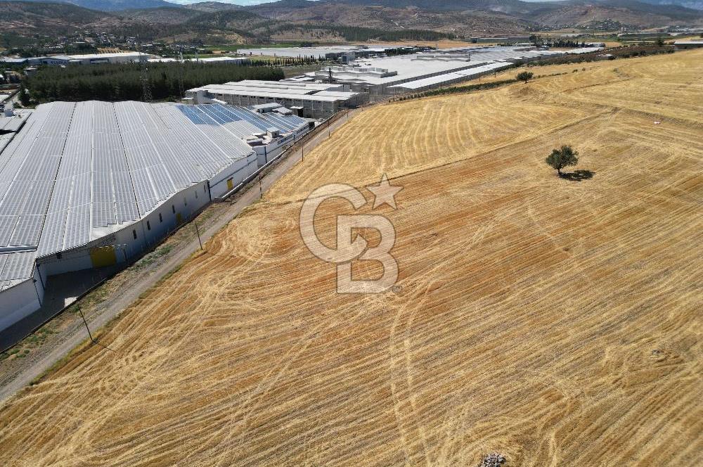 COLDWELL BANKER'DAN KILILIDA SATILIK TARLA