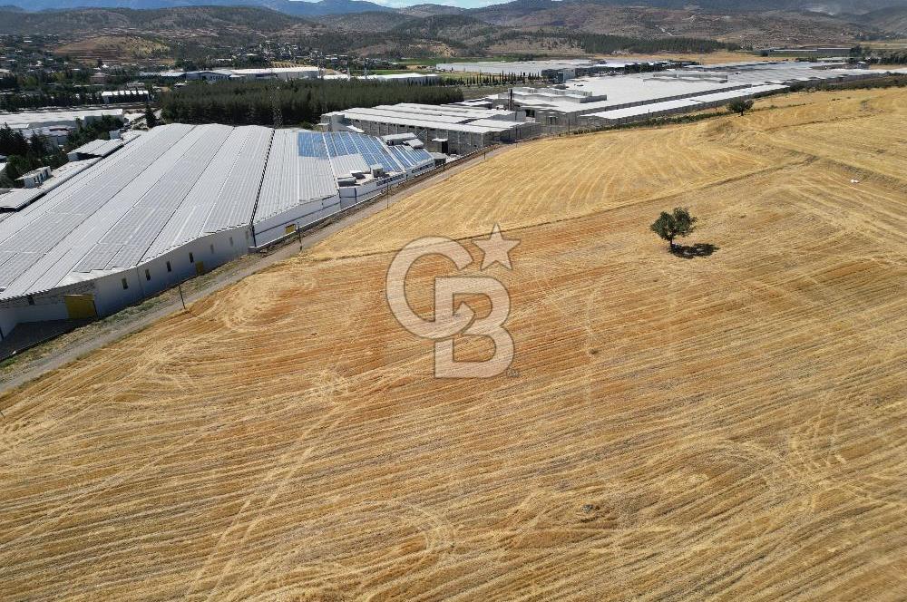 COLDWELL BANKER'DAN KILILIDA SATILIK TARLA