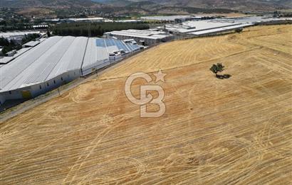 COLDWELL BANKER'DAN KILILIDA SATILIK TARLA