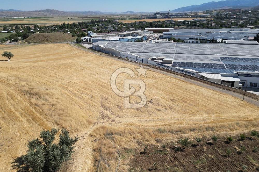 COLDWELL BANKER'DAN KILILIDA SATILIK TARLA
