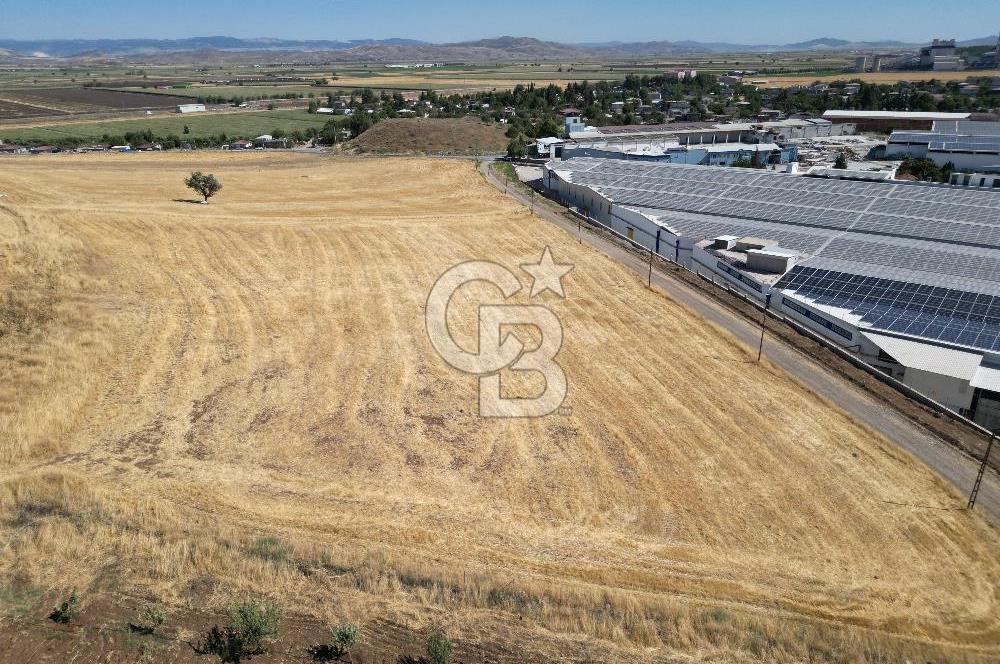 COLDWELL BANKER'DAN KILILIDA SATILIK TARLA