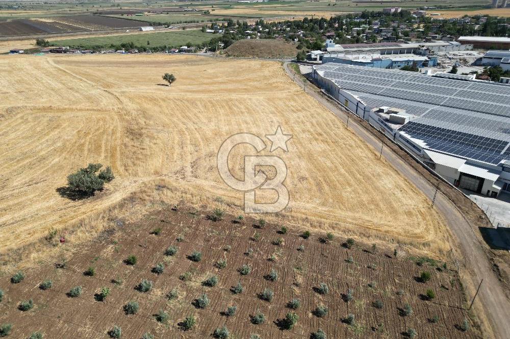 COLDWELL BANKER'DAN KILILIDA SATILIK TARLA