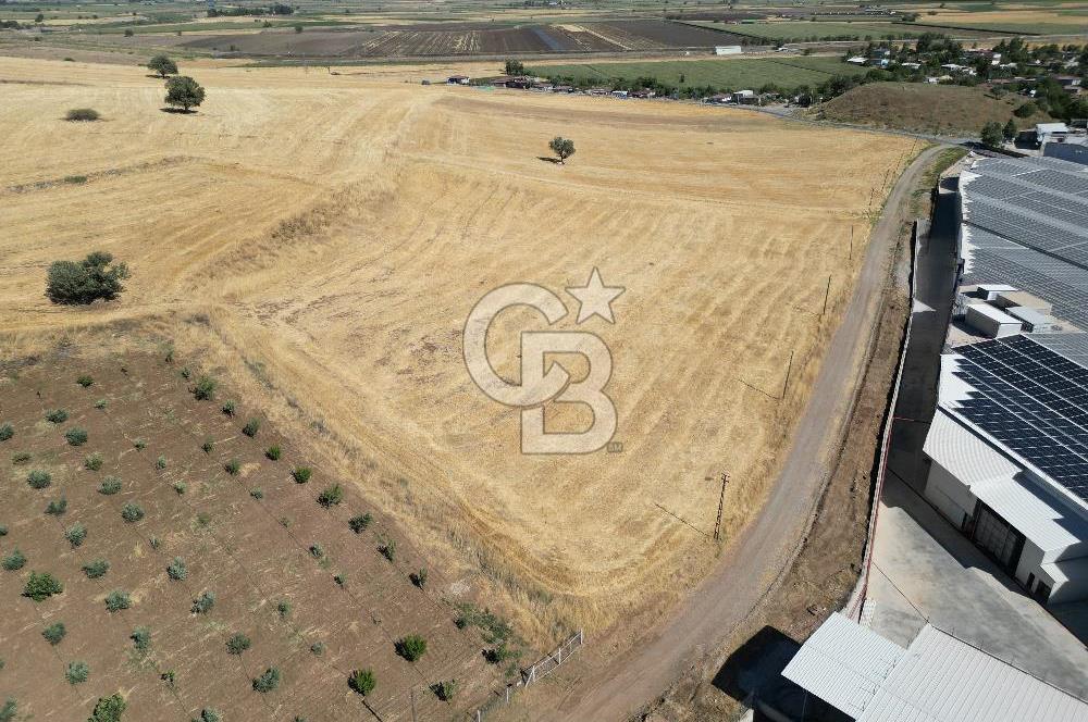 COLDWELL BANKER'DAN KILILIDA SATILIK TARLA