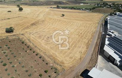 COLDWELL BANKER'DAN KILILIDA SATILIK TARLA