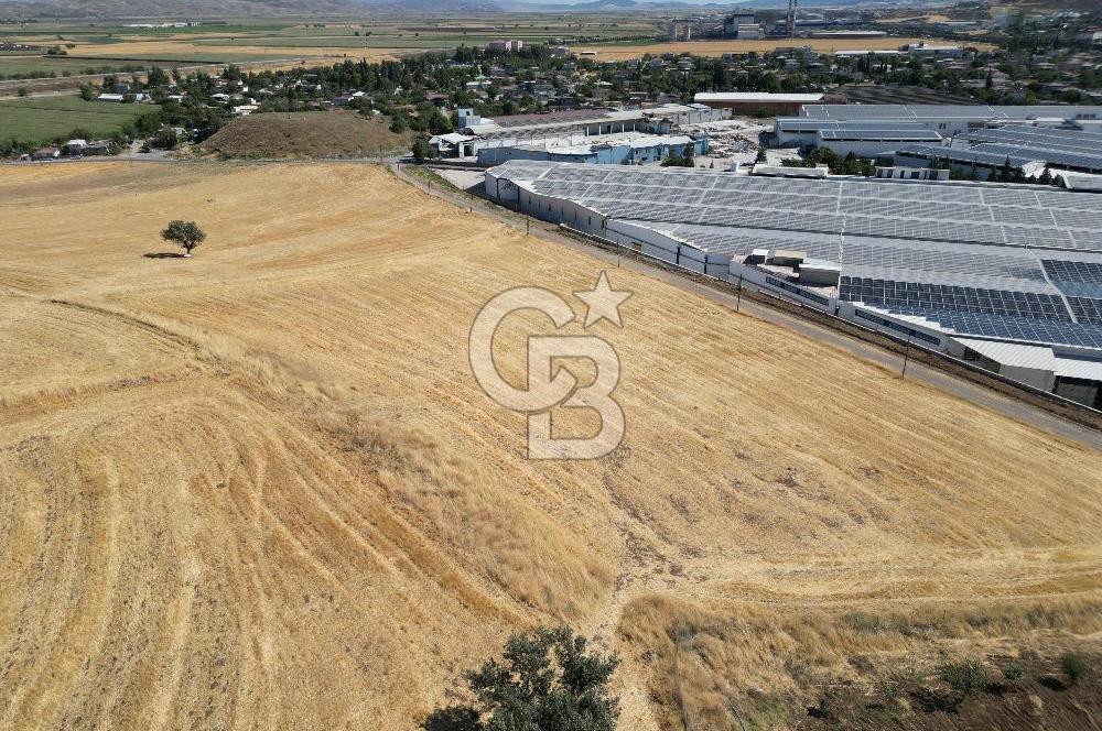COLDWELL BANKER'DAN KILILIDA SATILIK TARLA