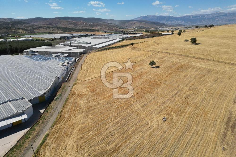 COLDWELL BANKER'DAN KILILIDA SATILIK TARLA