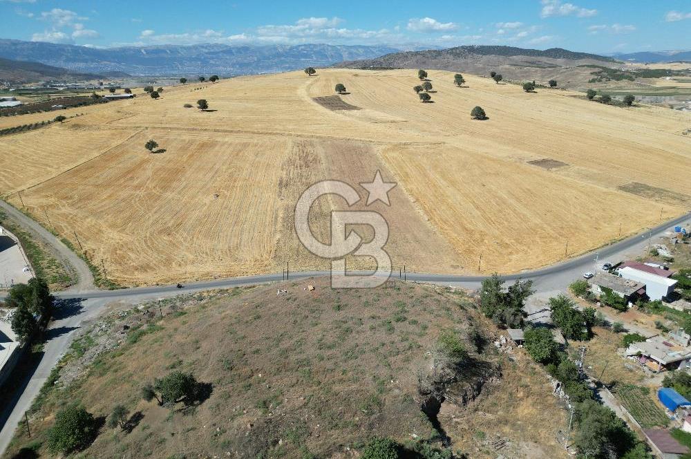 COLDWELL BANKER'DAN KILILIDA SATILIK TARLA