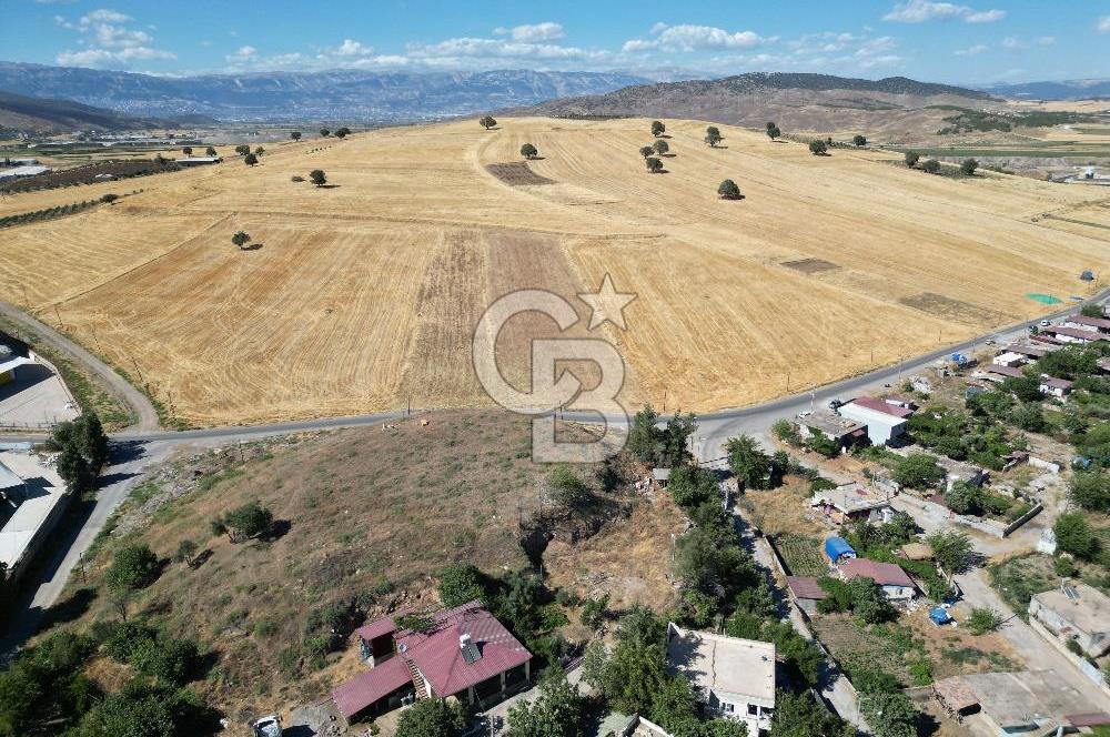 COLDWELL BANKER'DAN KILILIDA SATILIK TARLA