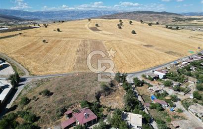 COLDWELL BANKER'DAN KILILIDA SATILIK TARLA
