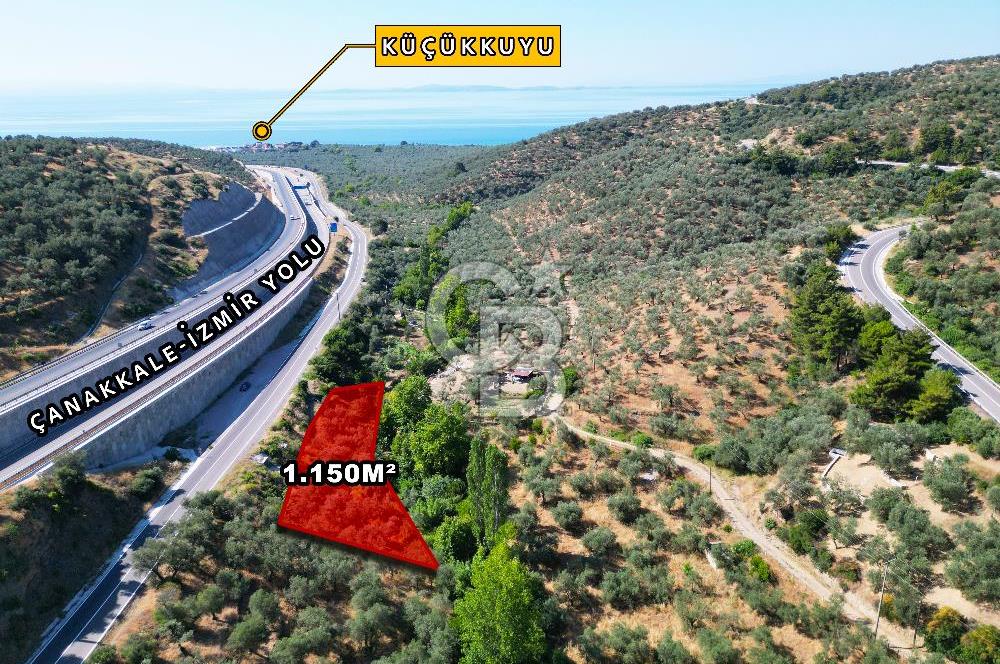 ÇANAKKALE KÜÇÜKKUYUDA SATILIK ZEYTİNLİK