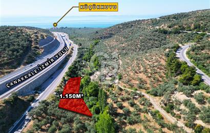 ÇANAKKALE KÜÇÜKKUYUDA SATILIK ZEYTİNLİK