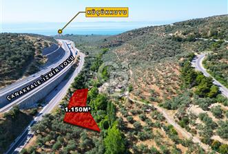 ÇANAKKALE KÜÇÜKKUYUDA SATILIK ZEYTİNLİK