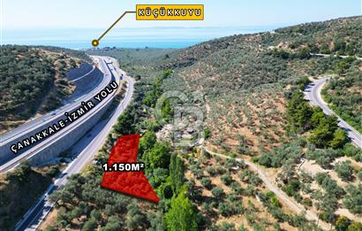 ÇANAKKALE KÜÇÜKKUYUDA SATILIK ZEYTİNLİK
