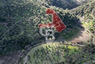 Payamlı'da 3105 m2 Akarsu Dibinde Keyifli Yatırımlık Arazi
