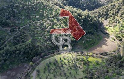 Payamlı'da 3105 m2 Akarsu Dibinde Keyifli Yatırımlık Arazi