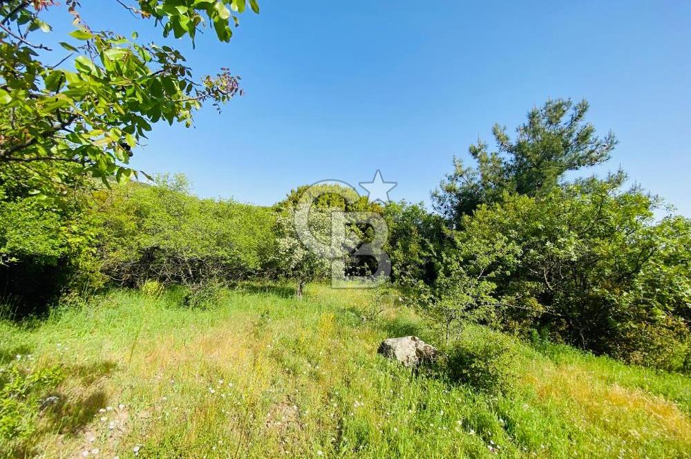 Bornova Kayadibi'nde 1997 m2 Tarla