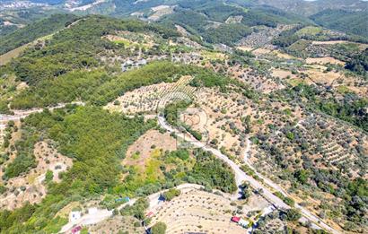 SEFERİHİSAR GÖDENCE YOLA 350 METRE CEPHELİ SATILIK ARAZİ