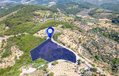 SEFERİHİSAR GÖDENCE YOLA 350 METRE CEPHELİ SATILIK ARAZİ