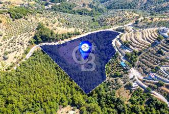 SEFERİHİSAR GÖDENCE YOLA 350 METRE CEPHELİ SATILIK ARAZİ