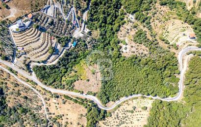 SEFERİHİSAR GÖDENCE YOLA 350 METRE CEPHELİ SATILIK ARAZİ